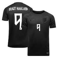 Maillot Équipe de Norvège Coupe du Monde 2026 Floqué Haaland