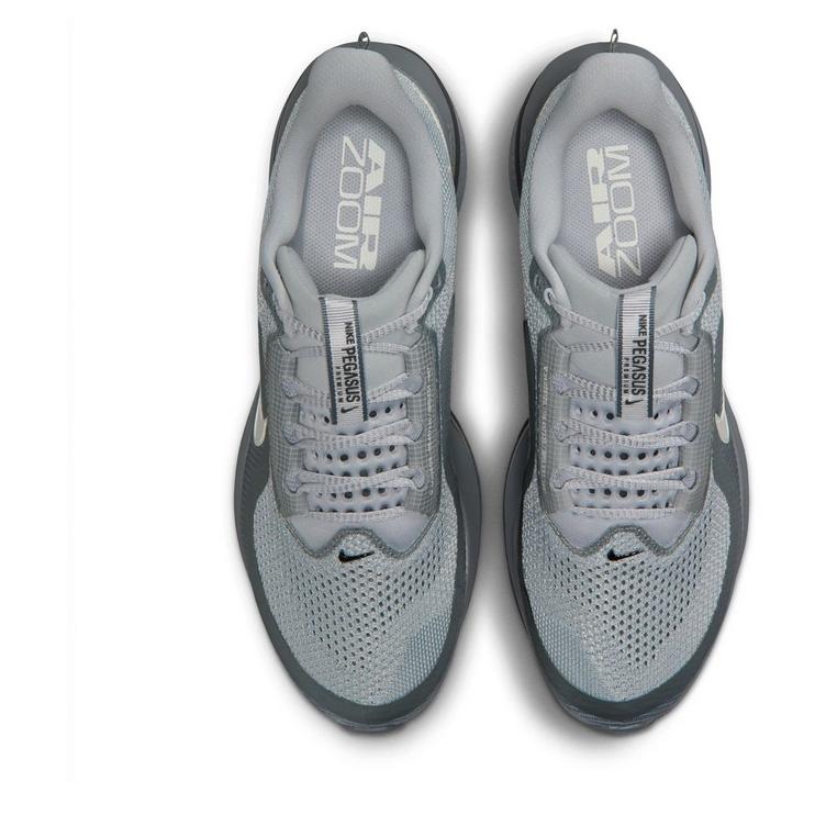 Nike Pegasus Premium Grey