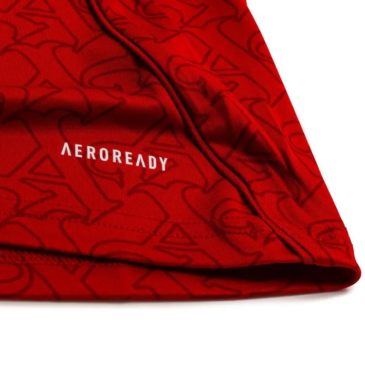 Maillot Arsenal saison 2025/2026