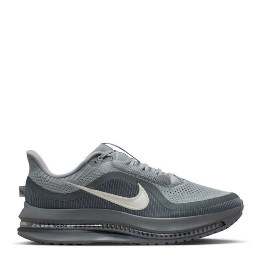 Nike Pegasus Premium Grey